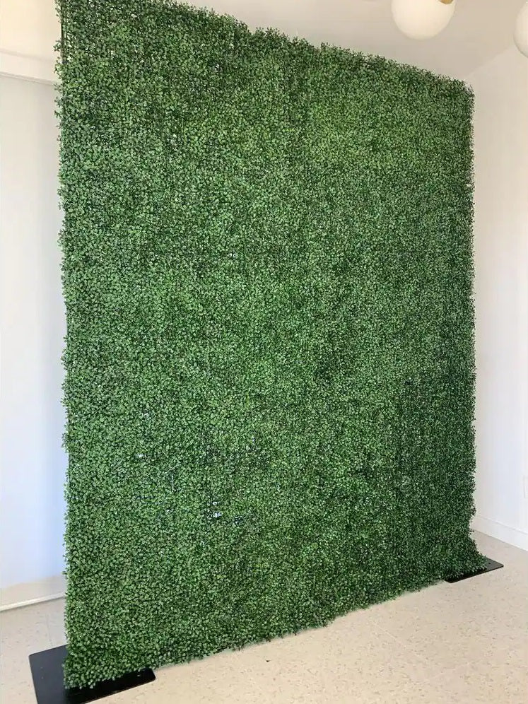 Boxwood Backdrop